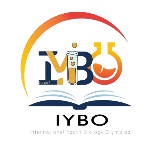 IYBO